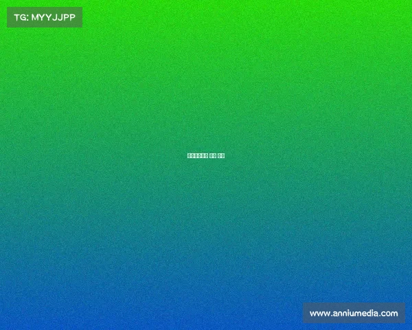 篮球赛事联盟 篮球 联赛